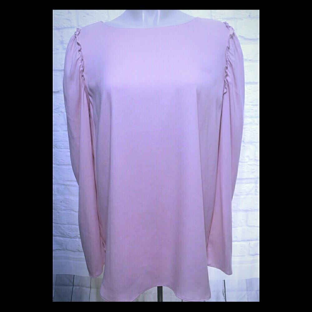 New! Ann Taylor Blush Pink LS Ruffle Blouse M